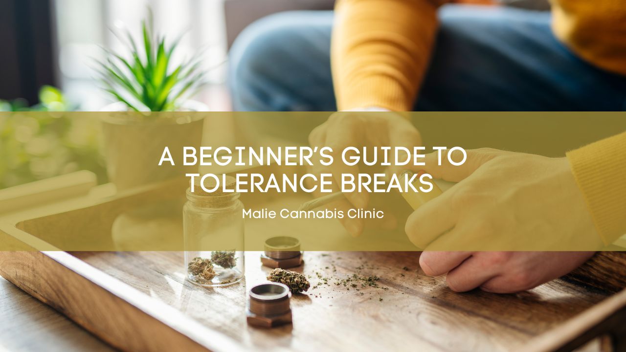 A Beginner’s Guide to Tolerance Breaks